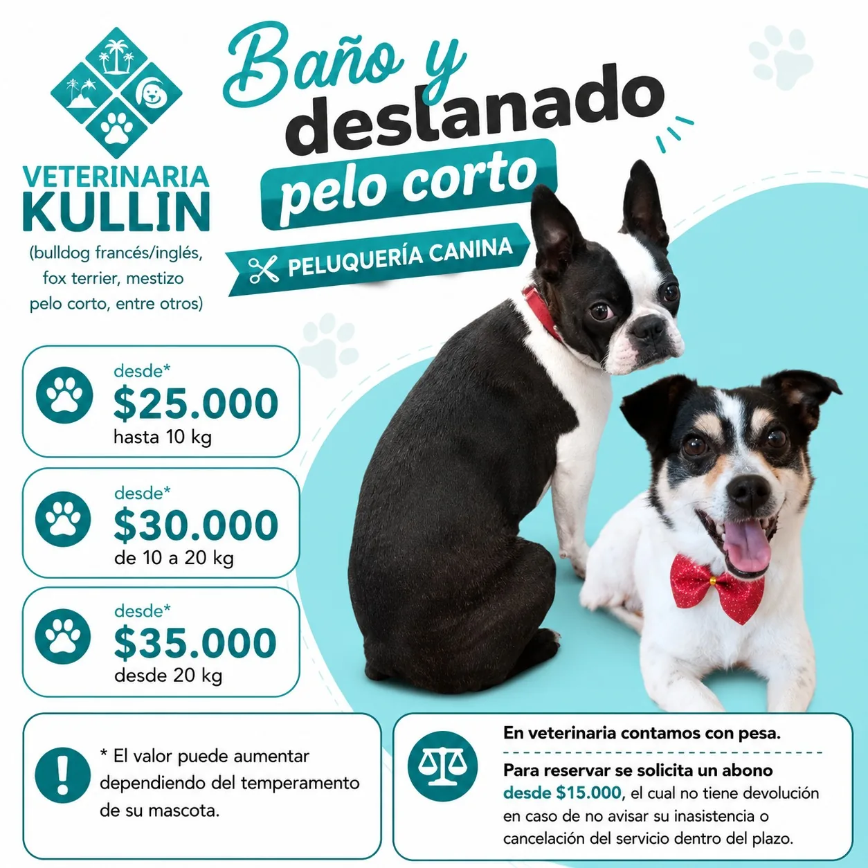 Afiche de baño y deslanado para perros de pelo corto: bulldog francés, bulldog inglés, fox terrier y mestizos. Valores desde $25.000 hasta 10 kg, desde $30.000 de 10 a 20 kg y desde $35.000 desde 20 kg.