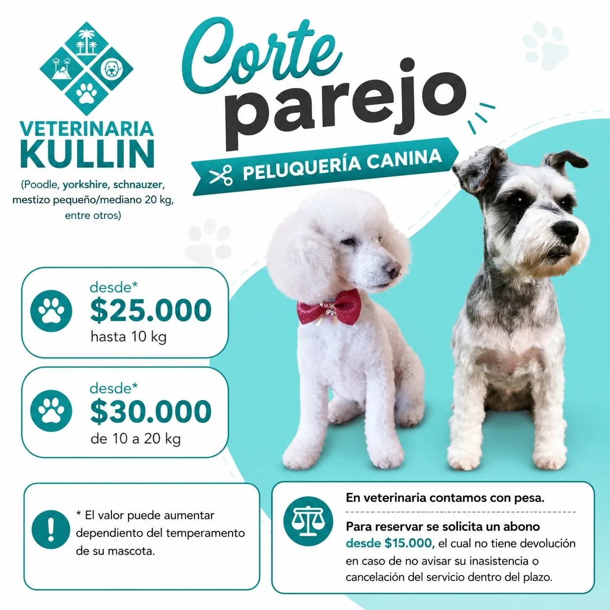 Afiche de corte parejo para poodle, yorkshire, schnauzer y mestizo pequeño o mediano hasta 20 kg. Valores desde $25.000 hasta 10 kg y desde $30.000 de 10 a 20 kg.